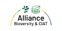 CIAT_22